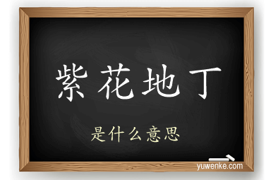 紫花地丁