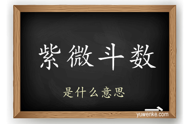 紫微斗数