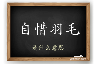 自惜羽毛