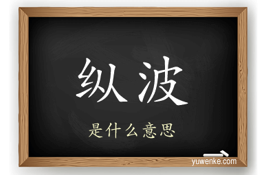纵波