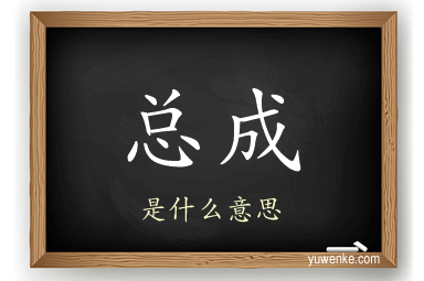 总成