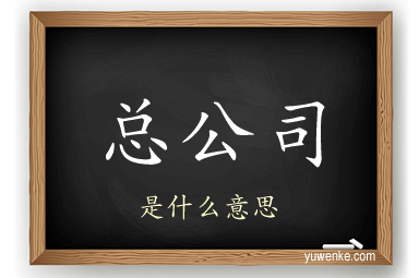总公司