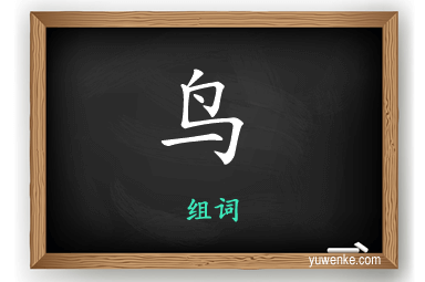 鸟怎么组词