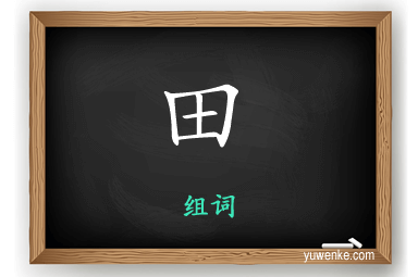 田怎么组词