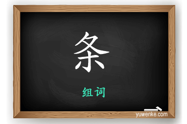 条怎么组词