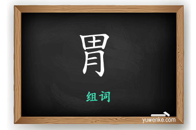 胃怎么组词