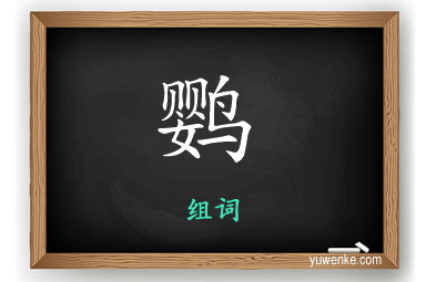 鹦怎么组词