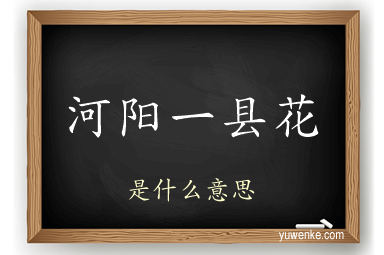 河阳一县花