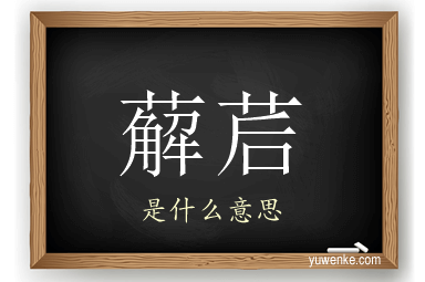 薢茩