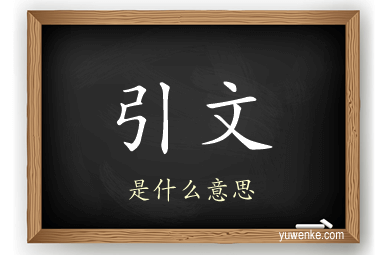 引文