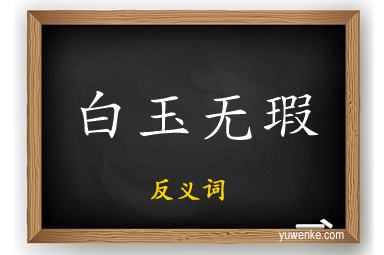 白玉无瑕的反义词