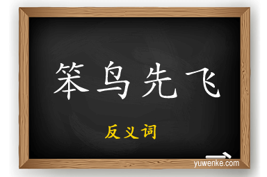 笨鸟先飞的反义词