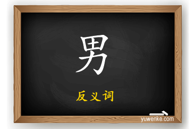 男的反义词