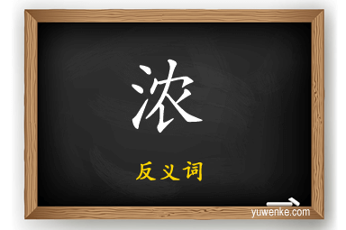 浓的反义词