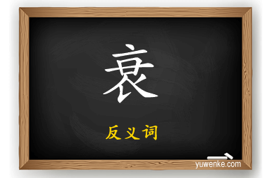 衰的反义词