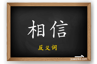 相信的反义词