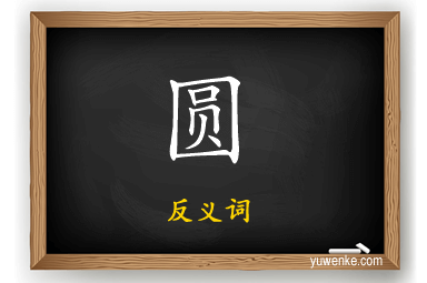 圆的反义词