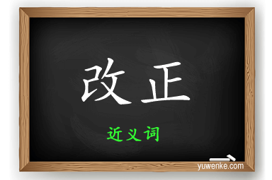改正的近义词