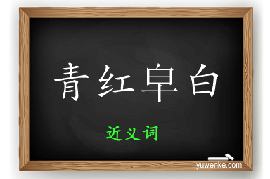 青红皁白的近义词