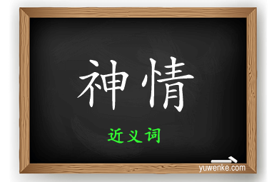 神情的近义词
