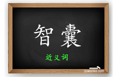 智囊的近义词