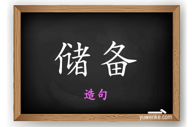 储备怎么造句