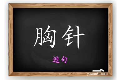 胸针怎么造句