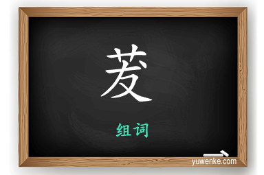 茇怎么组词